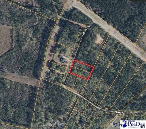 1 Acre of Residential Land for Sale in Marion, South Carolina