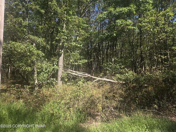 0.46 Acres of Residential Land for Sale in Albrightsville, Pennsylvania