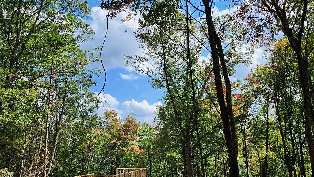 5 Acres of Land for Sale in Turtletown, Tennessee