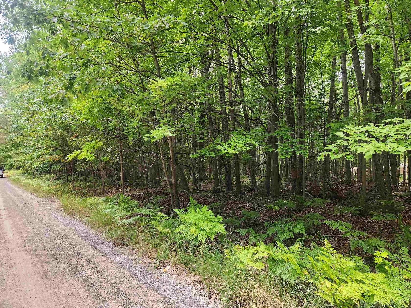 0.9 Acres of Residential Land for Sale in Lake, Michigan