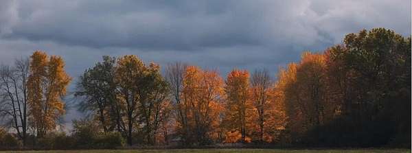 7.54 Acres of Residential Land for Sale in Richland, Michigan