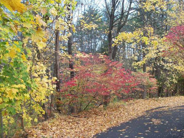 0.79 Acres of Residential Land for Sale in Laconia, New Hampshire