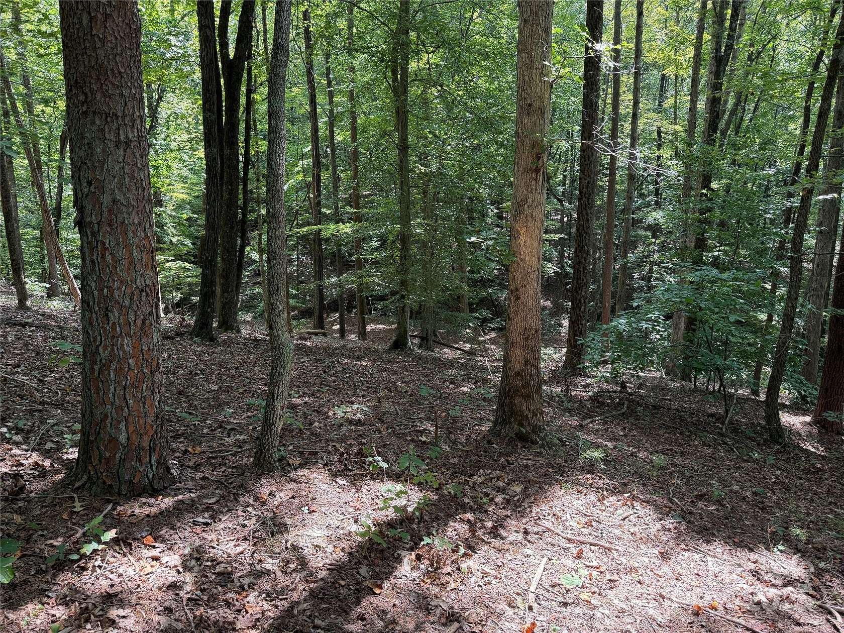 7.27 Acres of Residential Land for Sale in Nebo, North Carolina