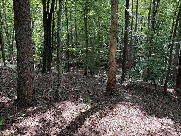 7.27 Acres of Residential Land for Sale in Nebo, North Carolina