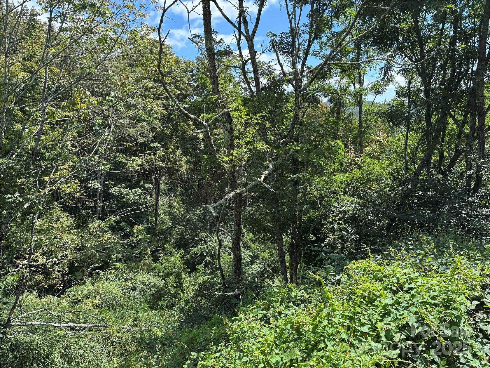 4.15 Acres of Residential Land for Sale in Newland, North Carolina