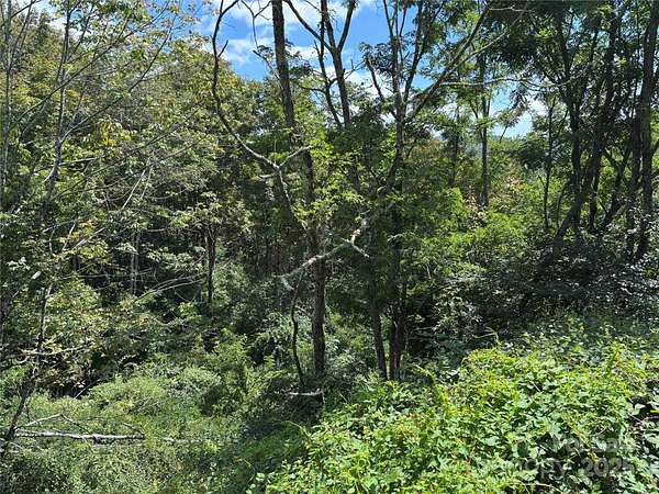 4.15 Acres of Residential Land for Sale in Newland, North Carolina