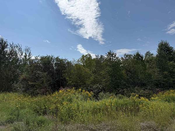 4 Acres of Residential Land for Sale in Grand Marais, Minnesota