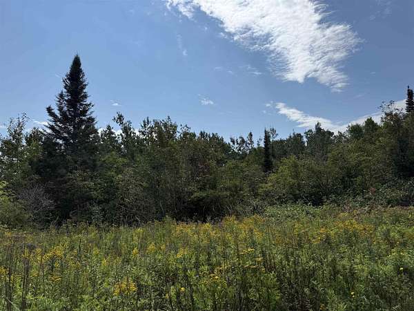 4 Acres of Residential Land for Sale in Grand Marais, Minnesota