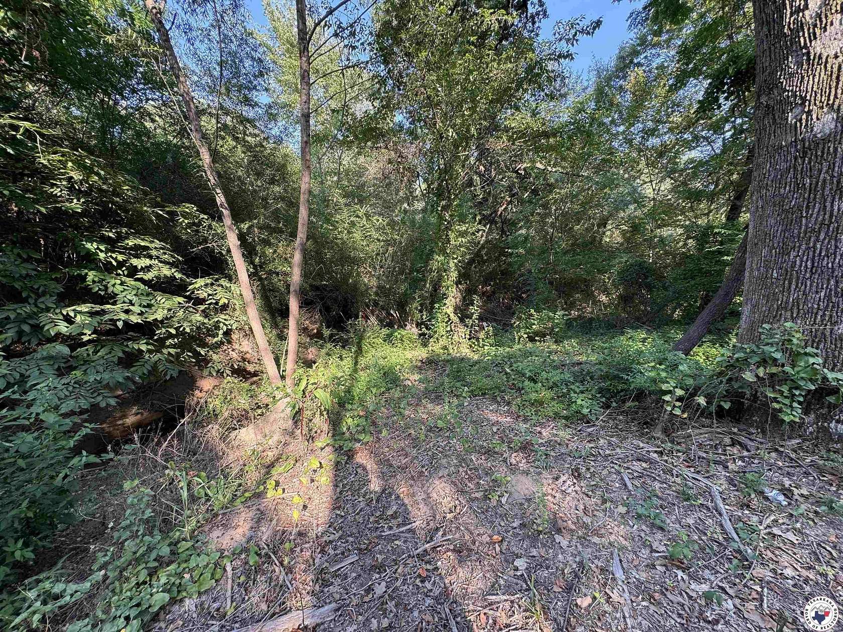 1.3 Acres of Land for Sale in New Boston, Texas