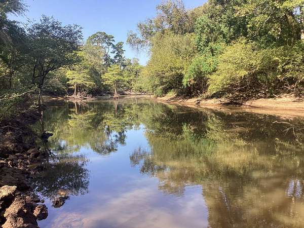 243 Acres of Recreational Land for Sale in Minden, Louisiana