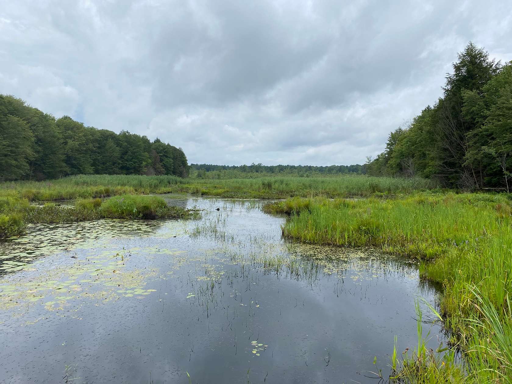 9 Acres of Residential Land for Sale in Williamstown, New York