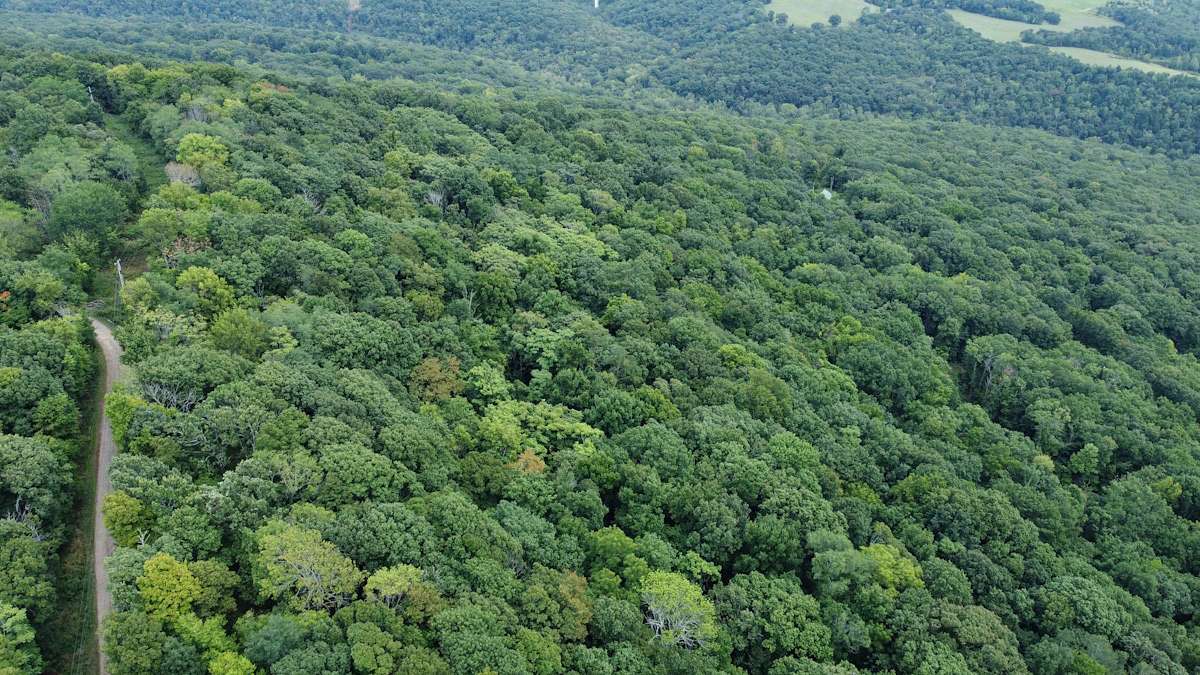 20.5 Acres of Recreational Land for Sale in Winslow, Arkansas