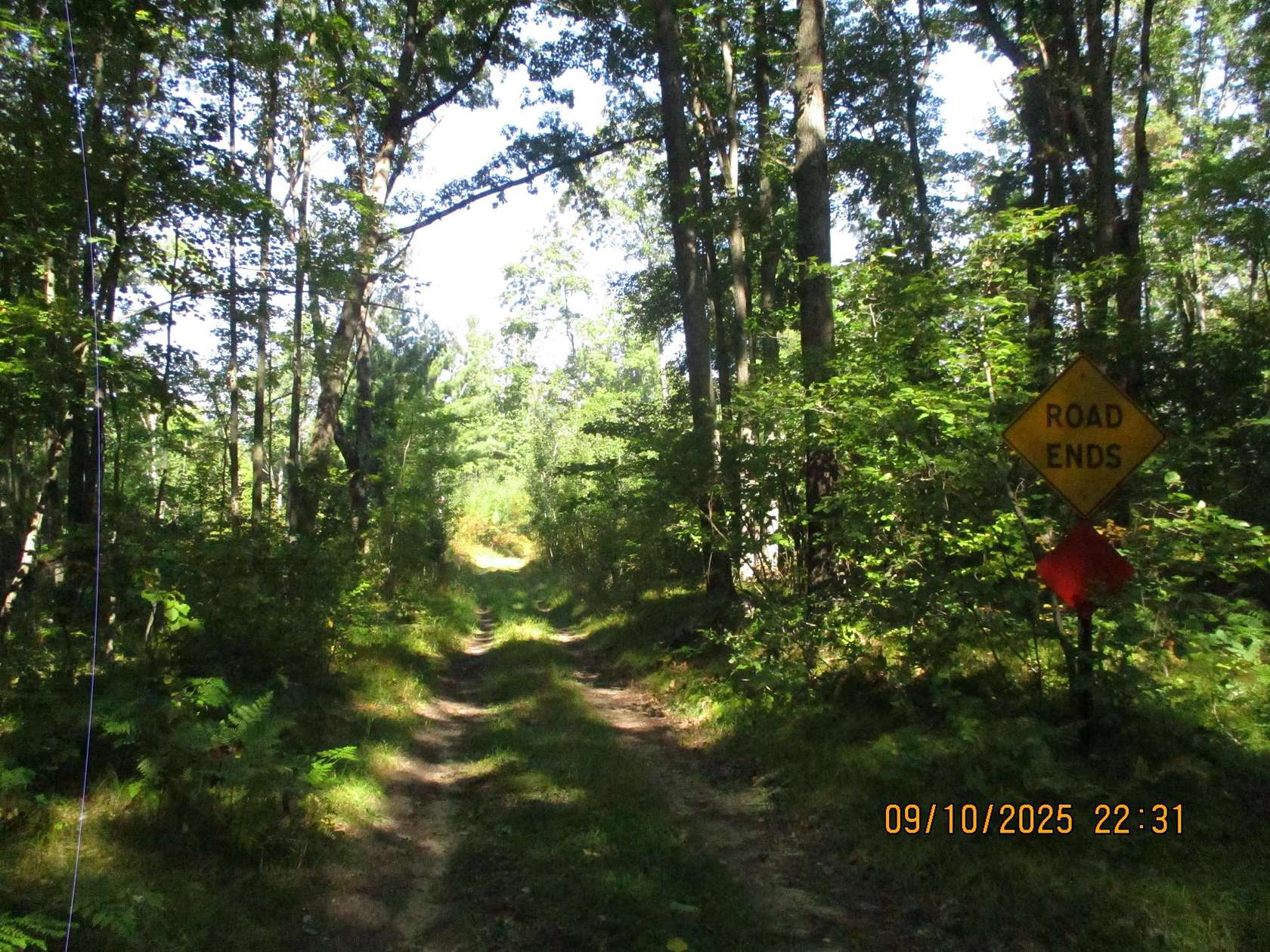 20.6 Acres of Land for Sale in Lake George, Michigan