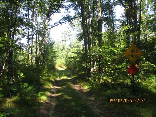 20.6 Acres of Land for Sale in Lake George, Michigan