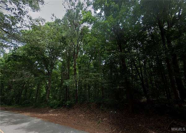 1 Acre of Land for Sale in Northport, Alabama