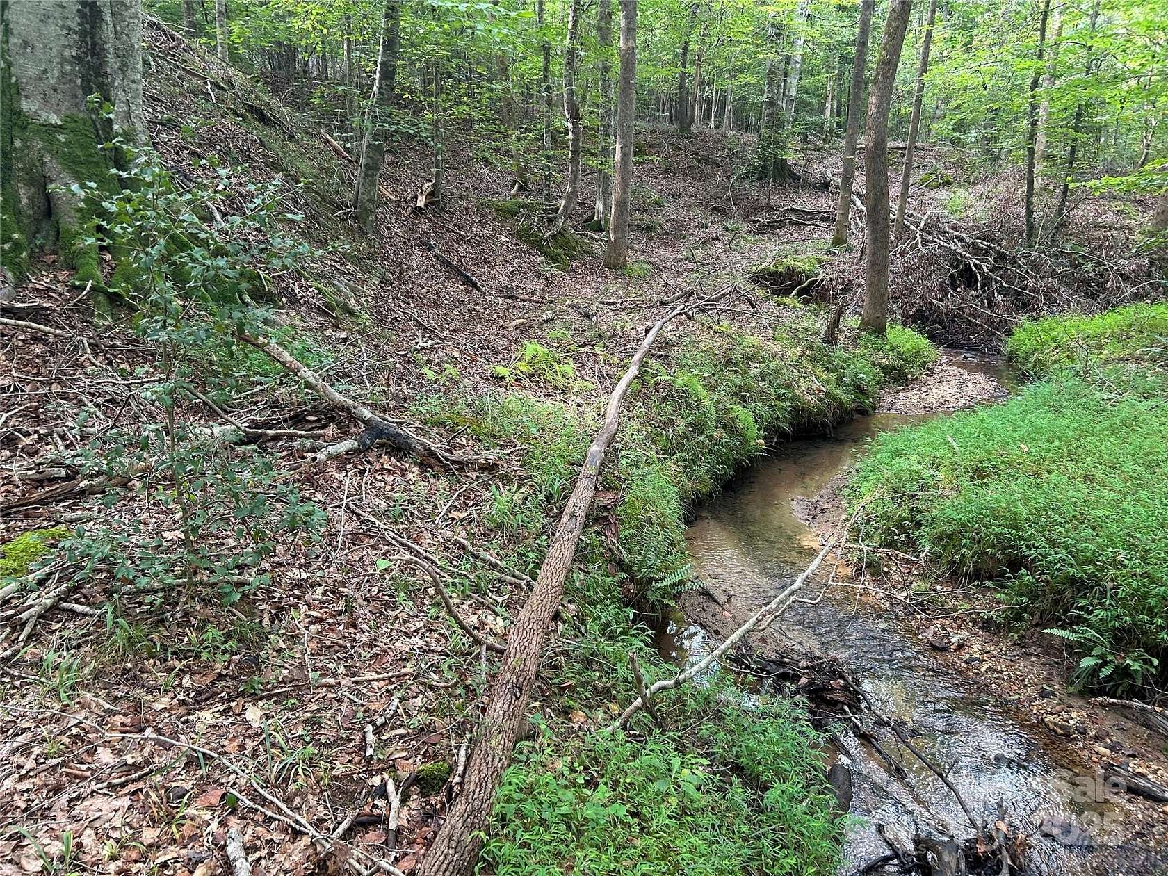 1.8 Acres of Residential Land for Sale in Rutherfordton, North Carolina