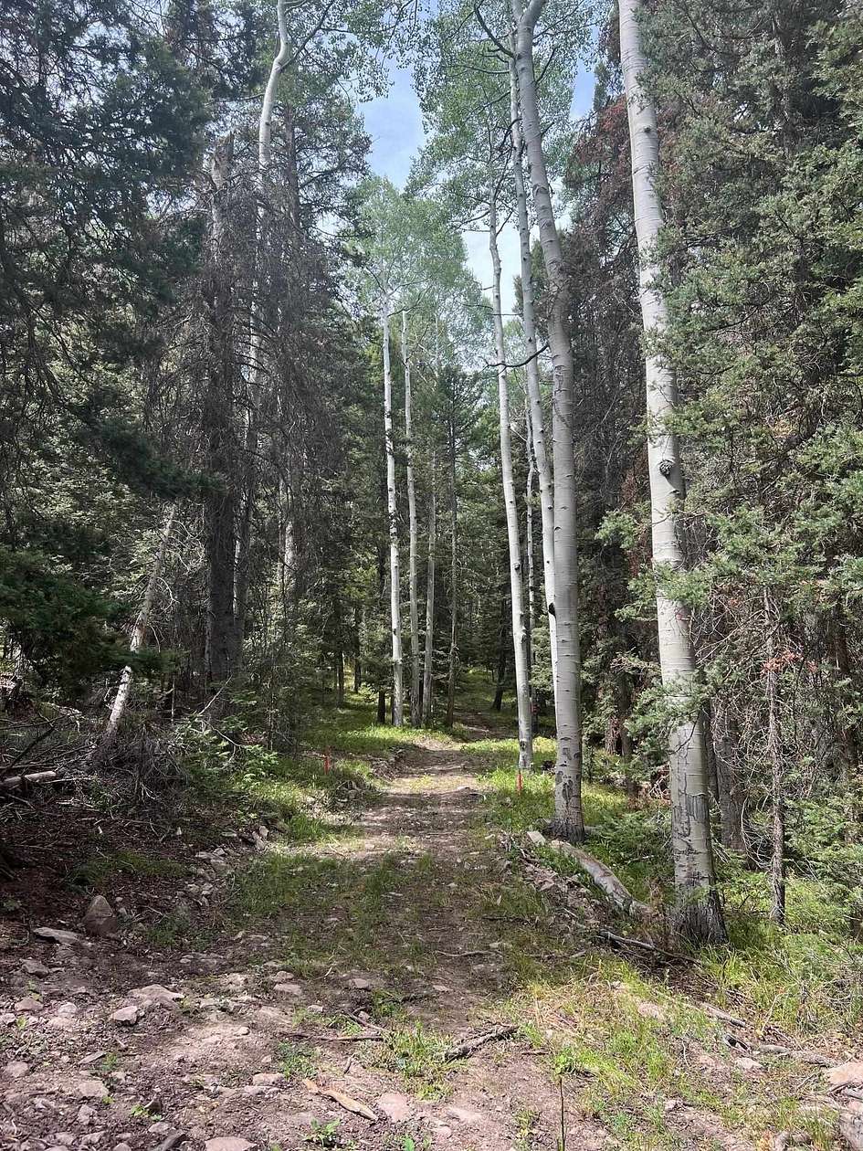 1 Acre of Residential Land for Sale in Cimarron, Colorado