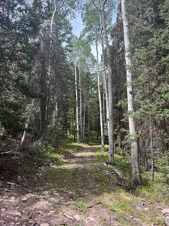 1 Acre of Residential Land for Sale in Cimarron, Colorado