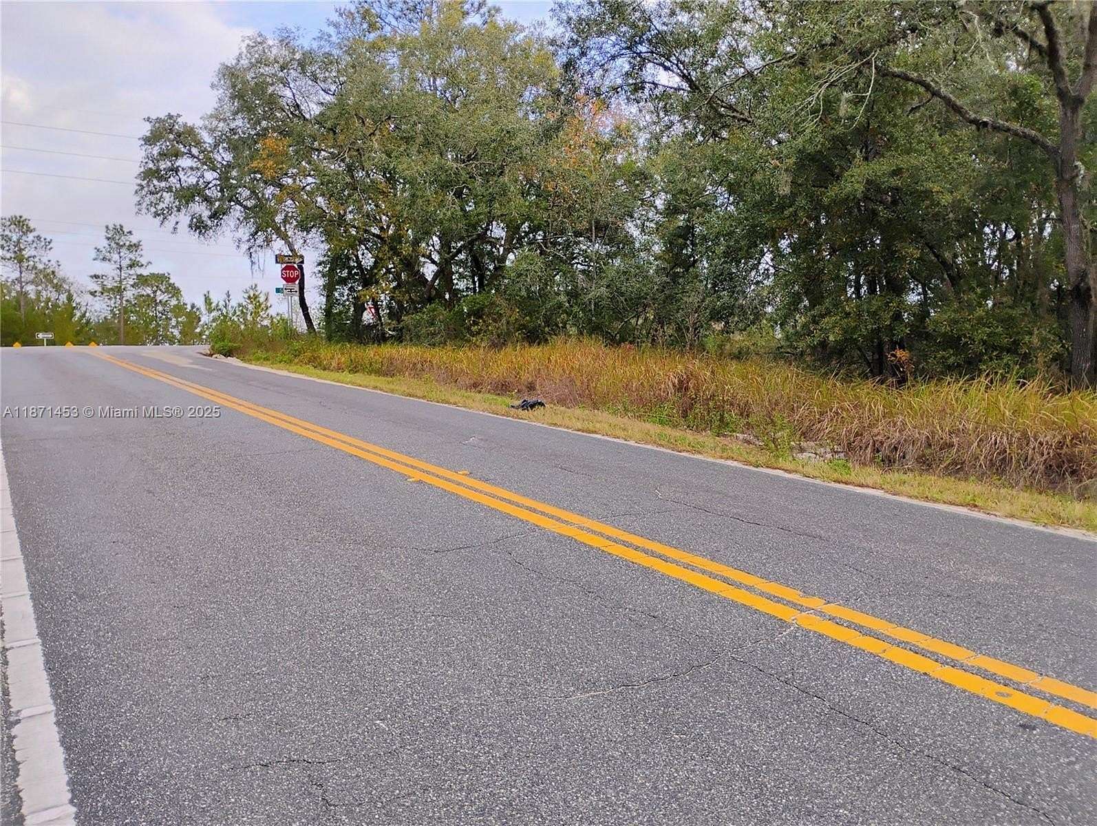 2.58 Acres of Residential Land for Sale in Palatka, Florida