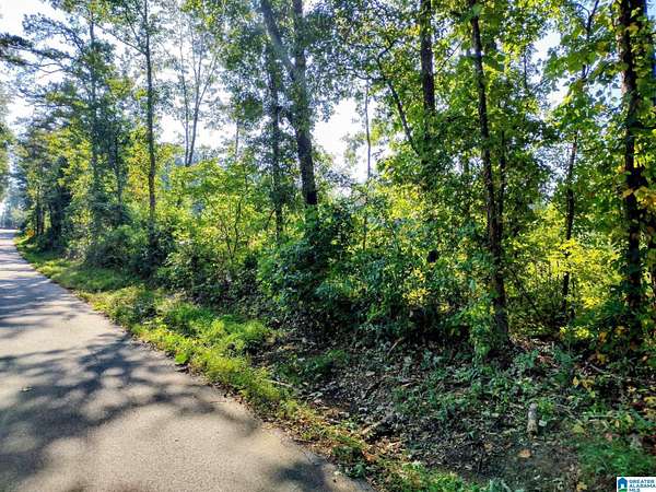21 Acres of Land for Sale in Roanoke, Alabama
