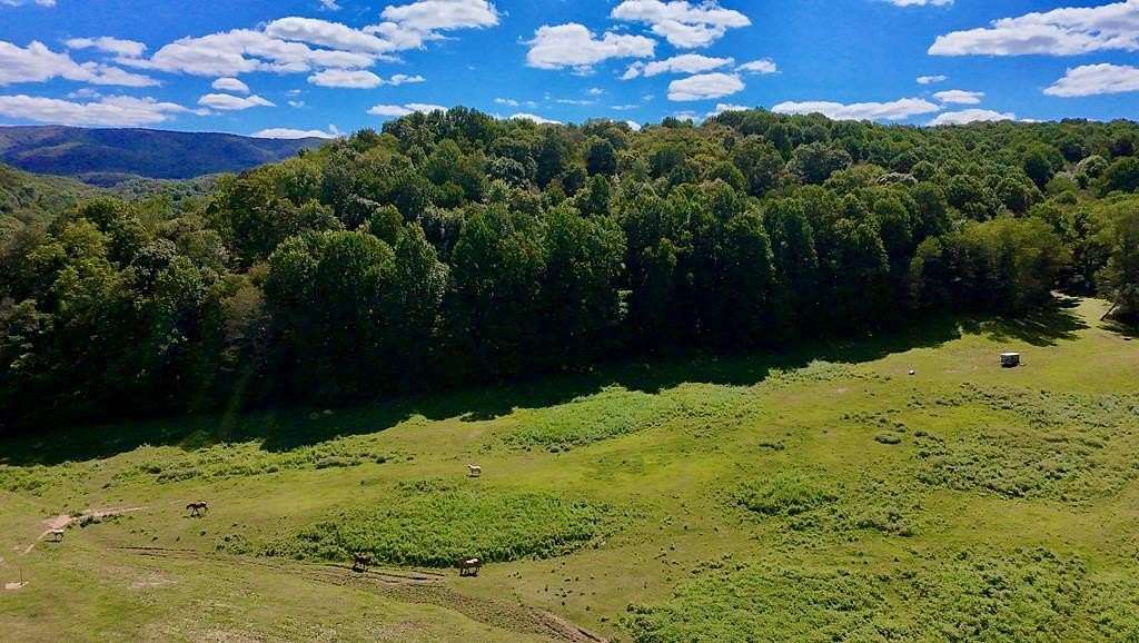 39.5 Acres of Land for Sale in Atkins, Virginia