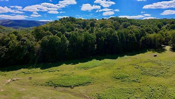 39.5 Acres of Land for Sale in Atkins, Virginia