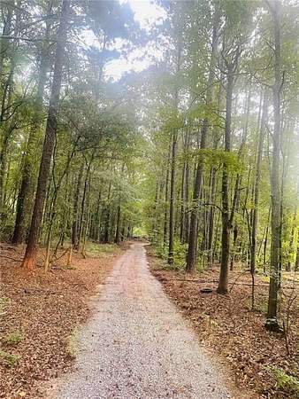 2 Acres of Residential Land for Sale in Colbert, Georgia