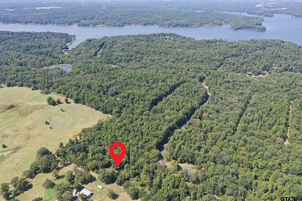 0.29 Acres of Residential Land for Sale in Mount Vernon, Texas