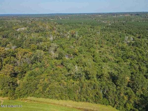 267 Acres of Recreational Land for Sale in Mize, Mississippi
