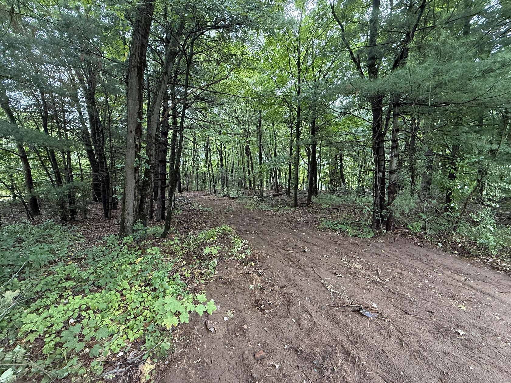 0.8 Acres of Residential Land for Sale in Enfield, Connecticut