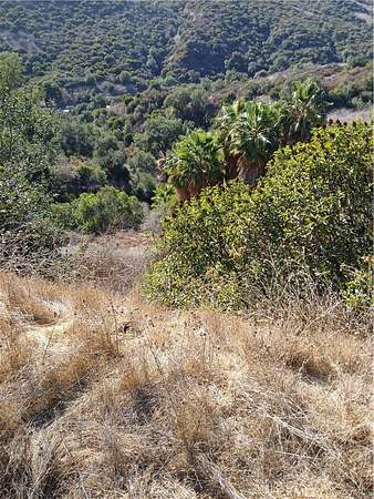 1.23 Acres of Residential Land for Sale in Chino Hills, California