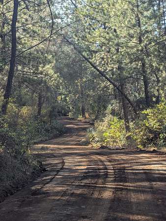 9.9 Acres of Land for Sale in Bella Vista, California