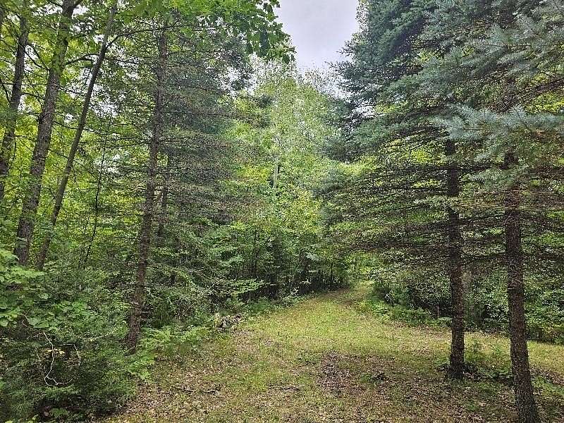 1.44 Acres of Residential Land for Sale in Gladwin, Michigan