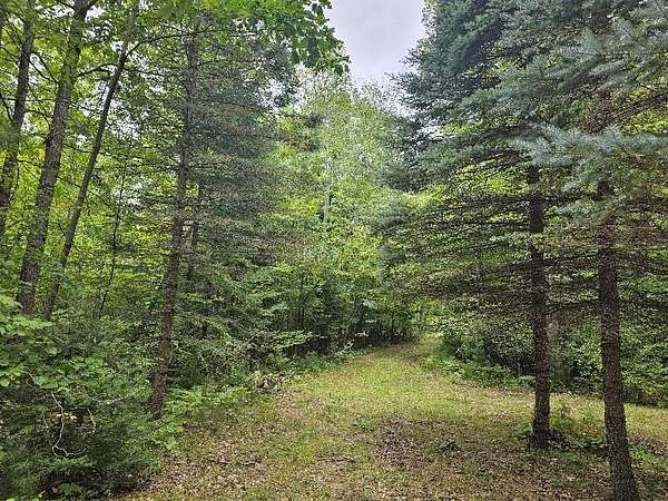 1.44 Acres of Residential Land for Sale in Gladwin, Michigan