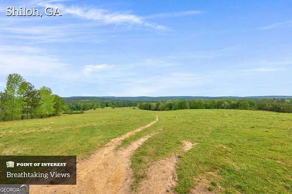 357 Acres of Land for Sale in Shiloh, Georgia