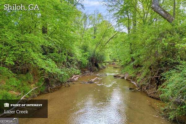 69.3 Acres of Land for Sale in Shiloh, Georgia