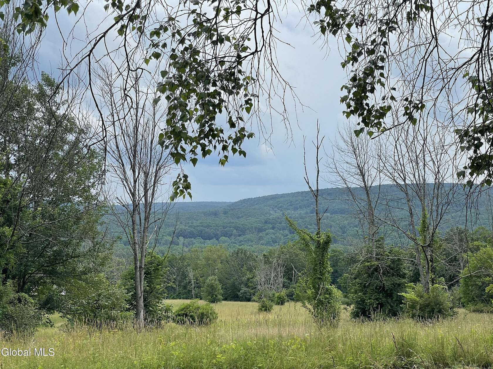 5 Acres of Residential Land for Sale in Glenville, New York