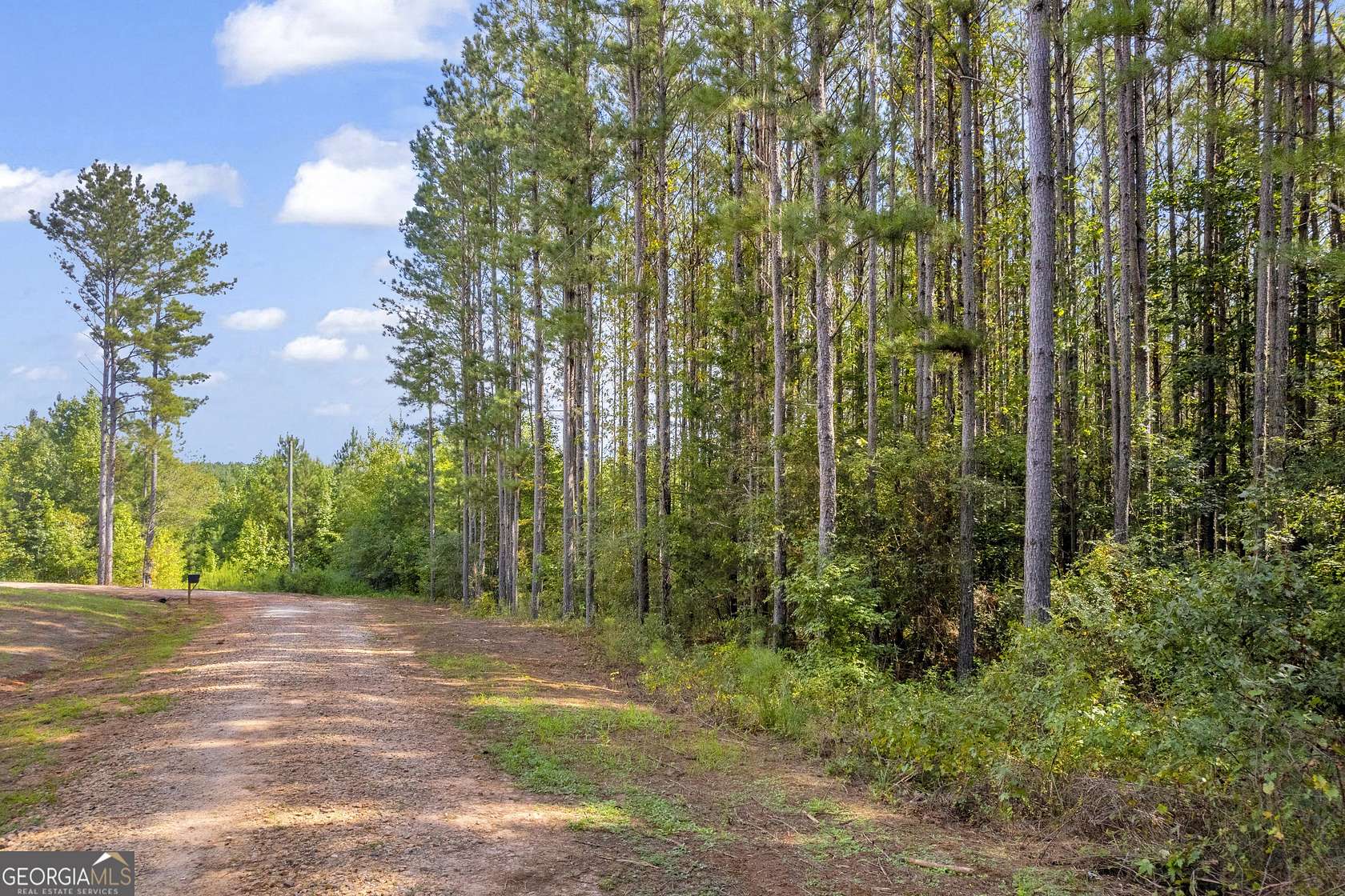 3 Acres of Land for Sale in Martin, Georgia