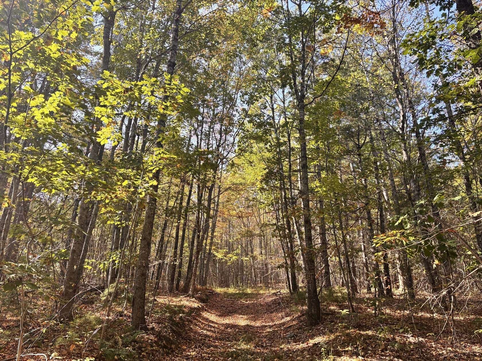 46 Acres of Land for Sale in Prospect, Maine