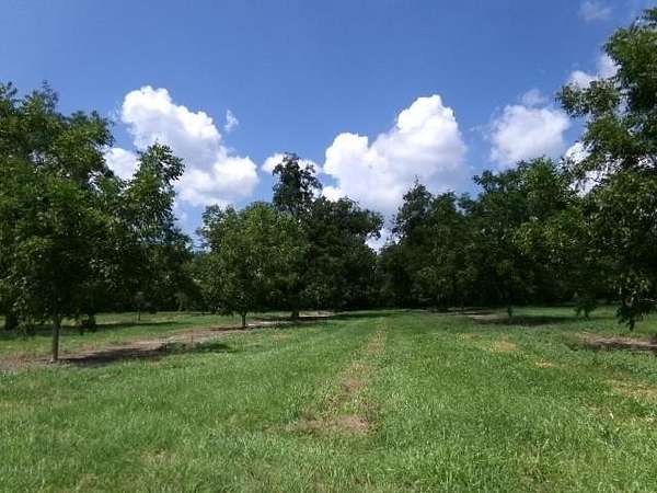 20.8 Acres of Land for Sale in Camilla, Georgia