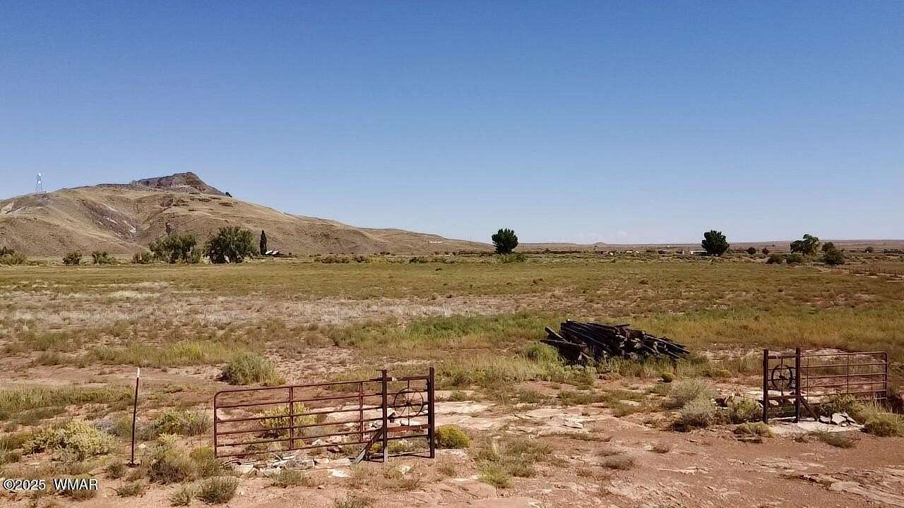 25.4 Acres of Agricultural & Residential Land for Sale in Woodruff, Arizona