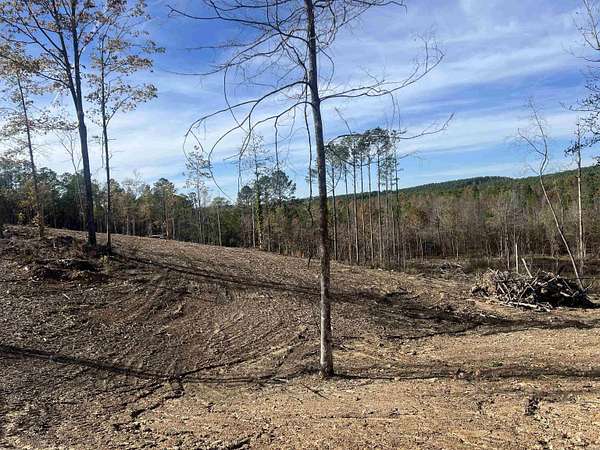 6 Acres of Residential Land for Sale in Bismarck, Arkansas