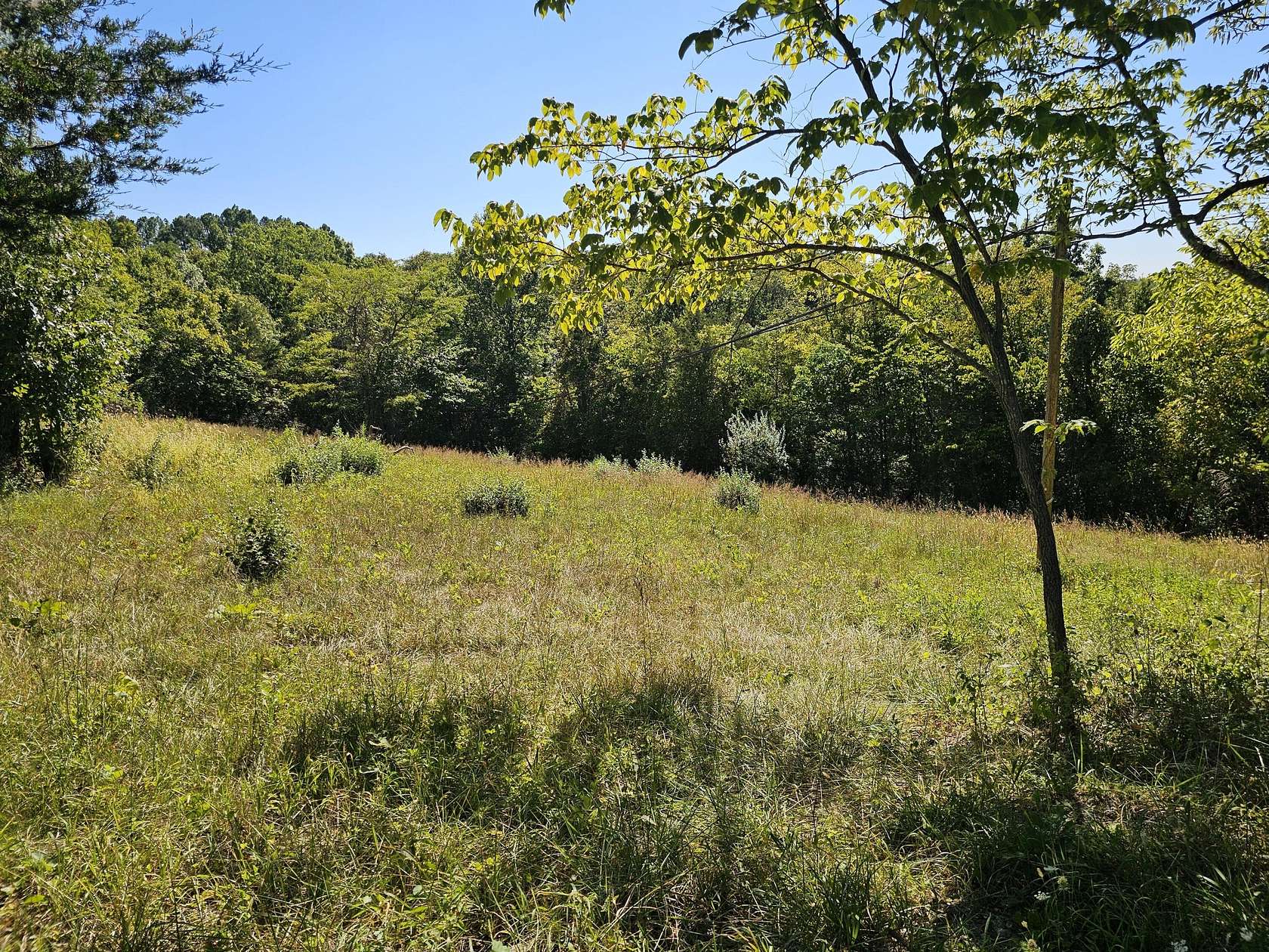 13.4 Acres of Land for Sale in DeMossville, Kentucky