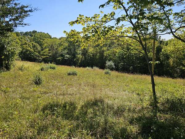 13.4 Acres of Land for Sale in DeMossville, Kentucky