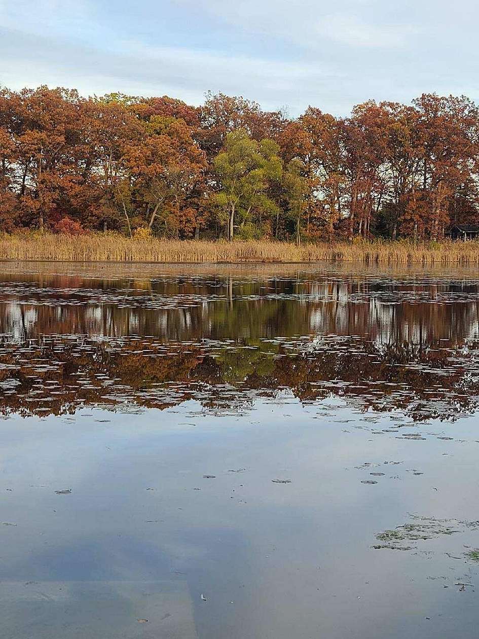 3 Acres of Land for Sale in Buchanan, Michigan