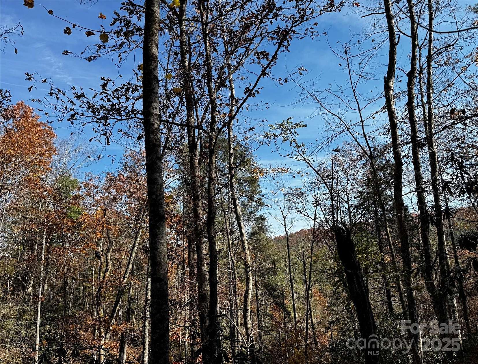 10.2 Acres of Land for Sale in Hendersonville, North Carolina