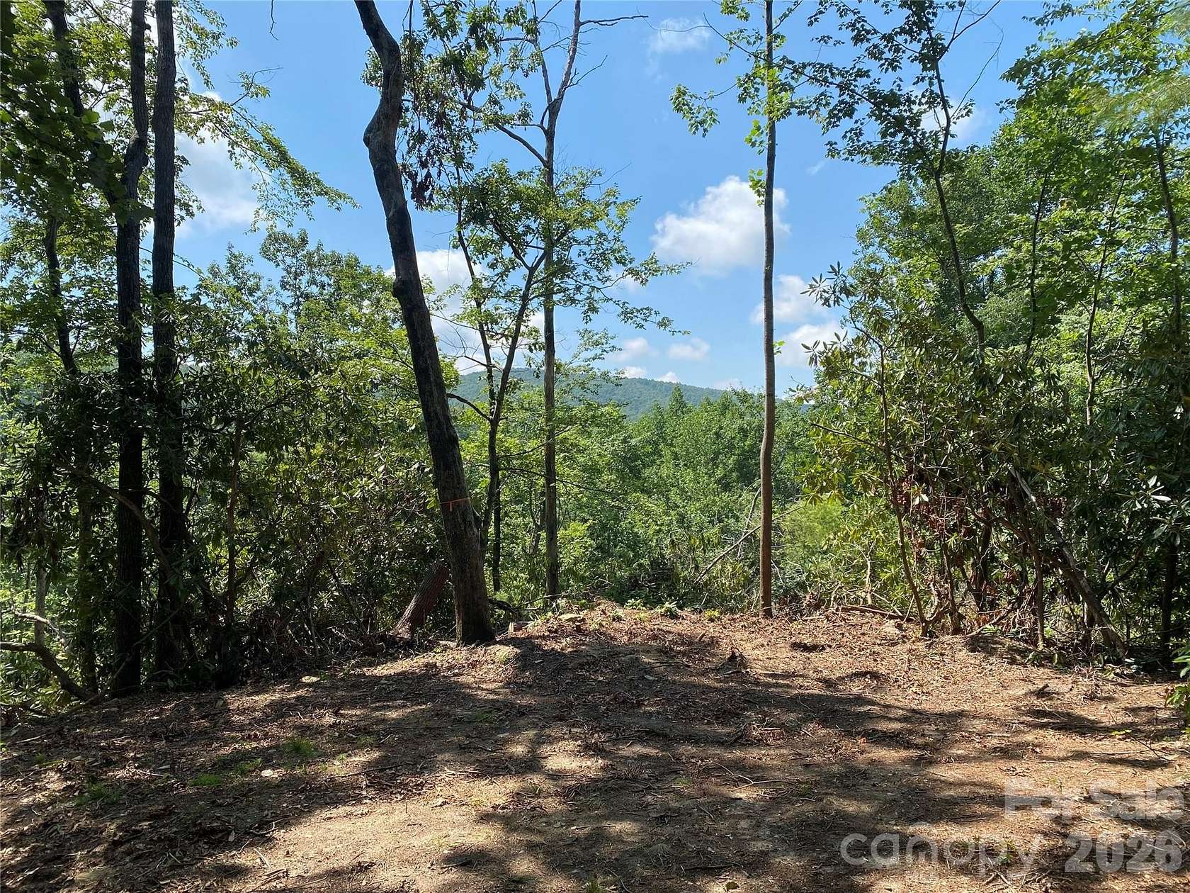 10.2 Acres of Land for Sale in Hendersonville, North Carolina