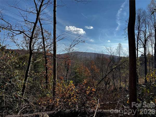 10.2 Acres of Land for Sale in Hendersonville, North Carolina