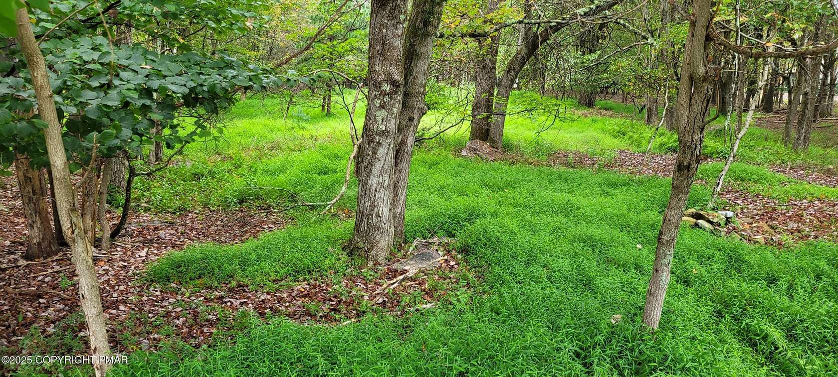 0.57 Acres of Residential Land for Sale in Albrightsville, Pennsylvania