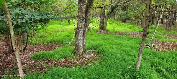 0.57 Acres of Residential Land for Sale in Albrightsville, Pennsylvania